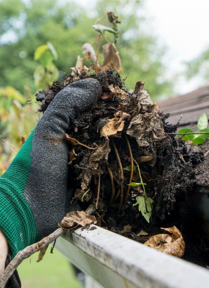 Gloved hand pulling debris from a gutter. Leaves, dirt, and small plants are being removed during gutter cleaning, showcasing maintenance to prevent water damage.